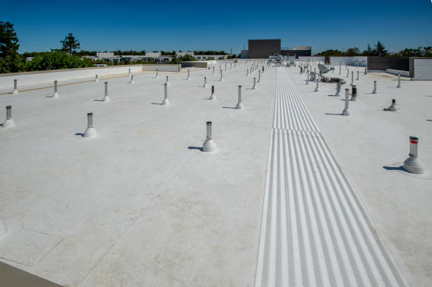 Best Sheet Metal Roofing  in Gamewell, NC
